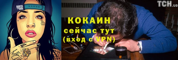 spice Аркадак