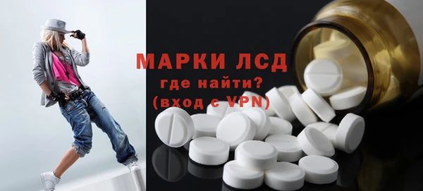 spice Аркадак